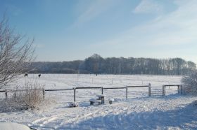 Hochzeit2010.12.10 276.jpg