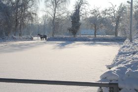 Hochzeit2010.12.10 278.jpg